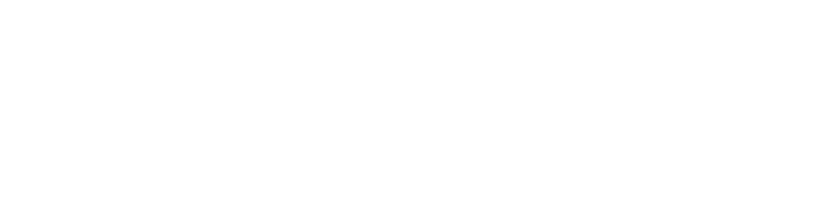 Partners #4